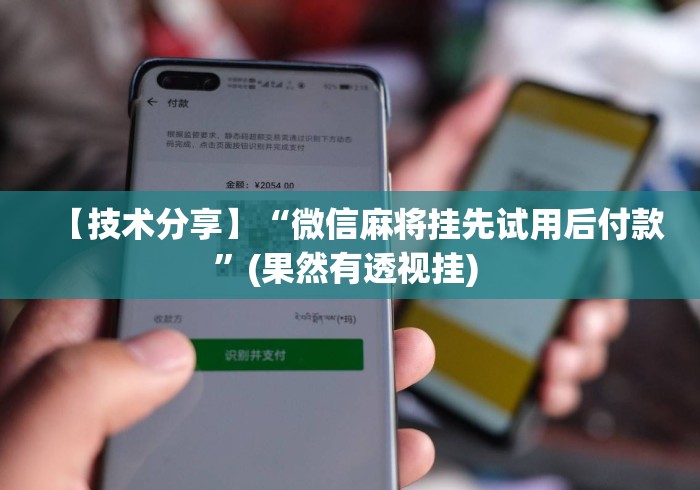 【技术分享】“微信麻将挂先试用后付款”(果然有透视挂) 