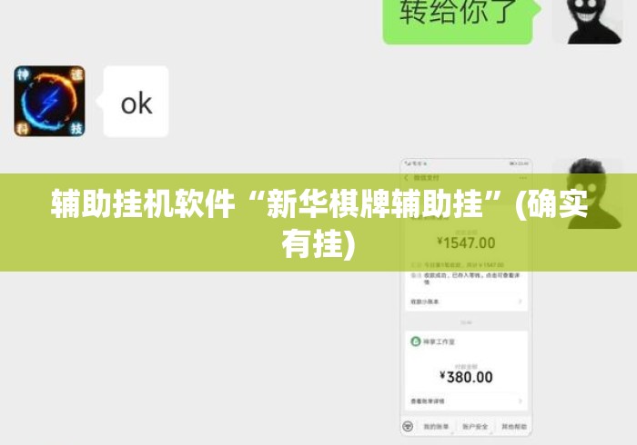 辅助挂机软件“新华棋牌辅助挂”(确实有挂)