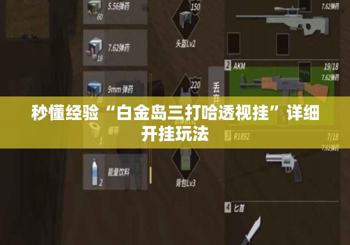 秒懂经验“白金岛三打哈透视挂”详细开挂玩法