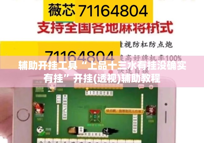 辅助开挂工具“上品十三水有挂没确实有挂	”开挂(透视)辅助教程