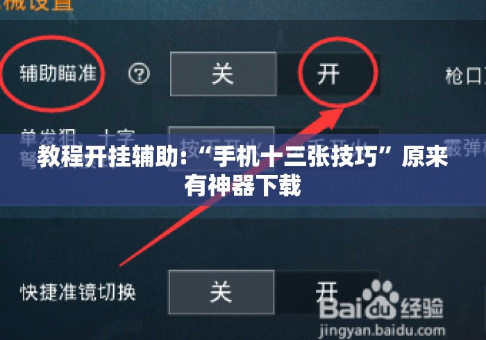 教程开挂辅助:“手机十三张技巧”原来有神器下载