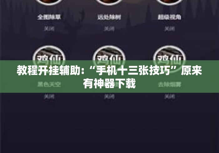 教程开挂辅助:“手机十三张技巧”原来有神器下载