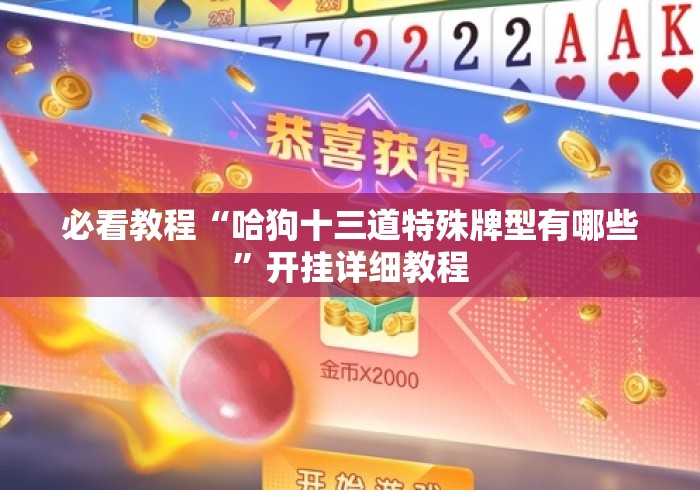 必看教程“哈狗十三道特殊牌型有哪些”开挂详细教程