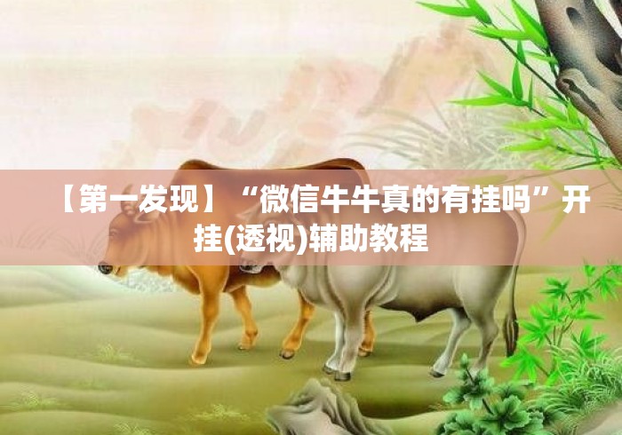 【第一发现】“微信牛牛真的有挂吗”开挂(透视)辅助教程