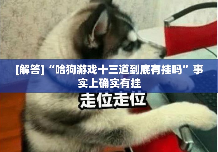 [解答]“哈狗游戏十三道到底有挂吗”事实上确实有挂