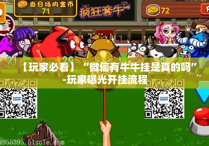 【玩家必看】“微信有牛牛挂是真的吗”-玩家曝光开挂流程