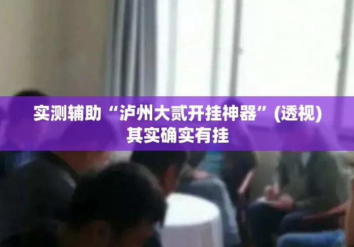 实测辅助“泸州大贰开挂神器”(透视)其实确实有挂
