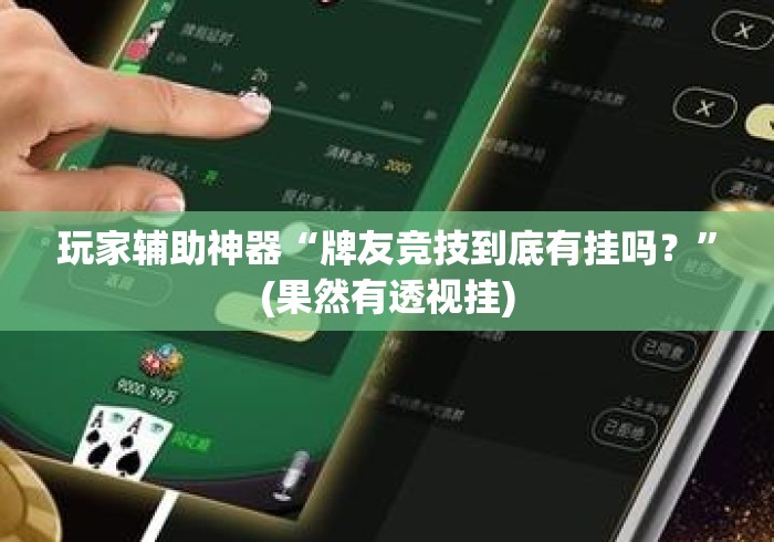 玩家辅助神器“牌友竞技到底有挂吗？”(果然有透视挂)