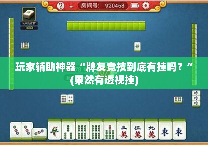 玩家辅助神器“牌友竞技到底有挂吗？	”(果然有透视挂)
