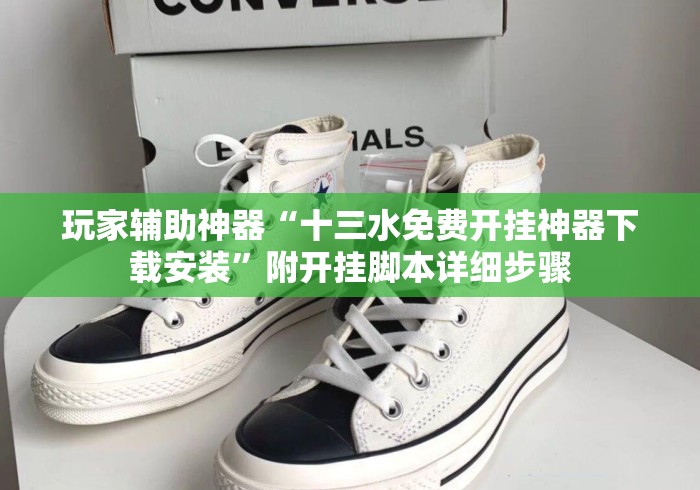 玩家辅助神器“十三水免费开挂神器下载安装	”附开挂脚本详细步骤