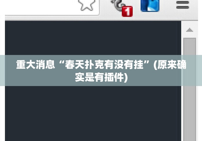 重大消息“春天扑克有没有挂	”(原来确实是有插件)