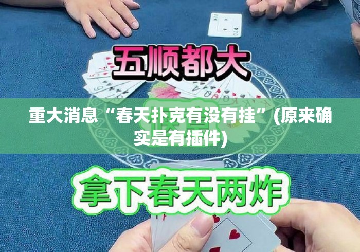 重大消息“春天扑克有没有挂”(原来确实是有插件)
