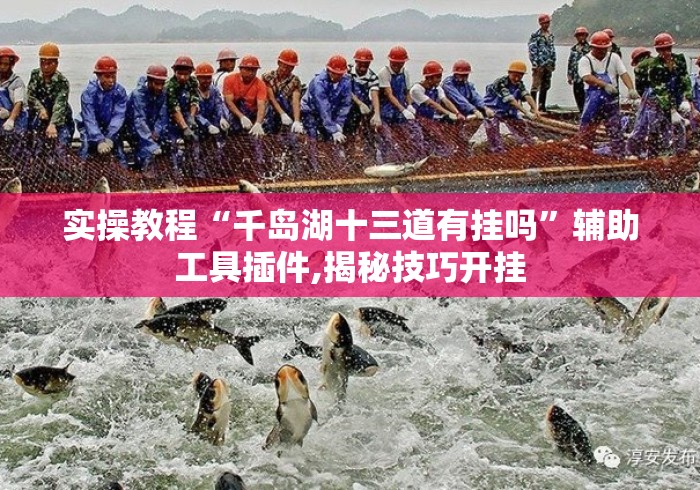 实操教程“千岛湖十三道有挂吗”辅助工具插件,揭秘技巧开挂