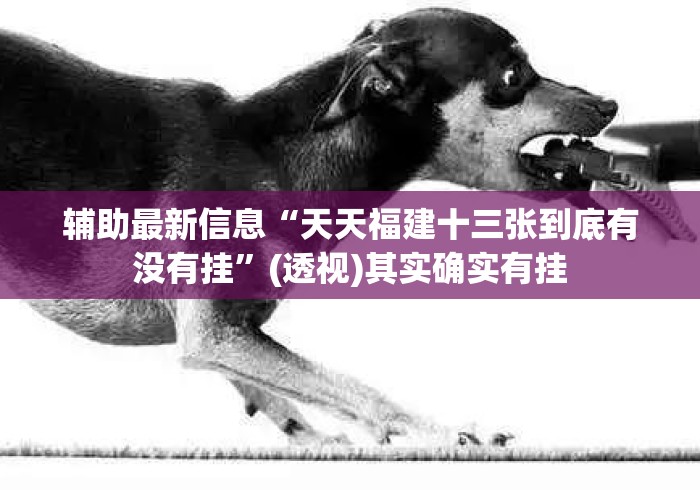 辅助最新信息“天天福建十三张到底有没有挂”(透视)其实确实有挂