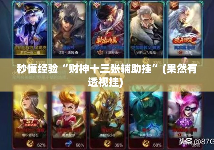 秒懂经验“财神十三张辅助挂”(果然有透视挂) 