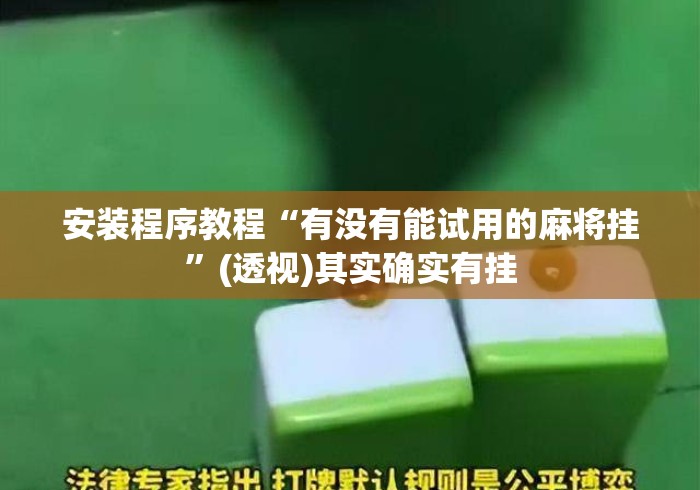 安装程序教程“有没有能试用的麻将挂”(透视)其实确实有挂