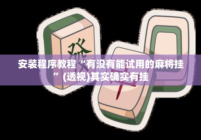 安装程序教程“有没有能试用的麻将挂”(透视)其实确实有挂