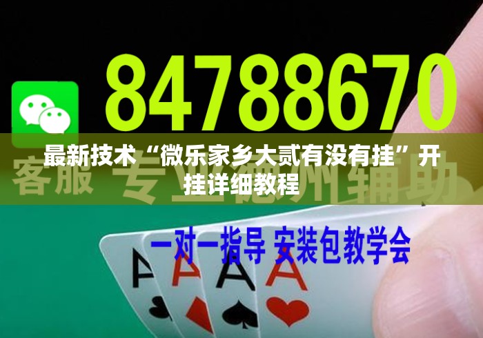 最新技术“微乐家乡大贰有没有挂”开挂详细教程