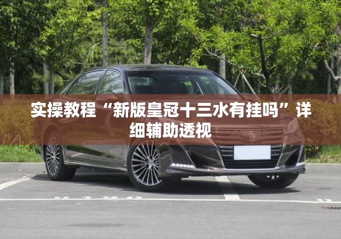 实操教程“新版皇冠十三水有挂吗	”详细辅助透视