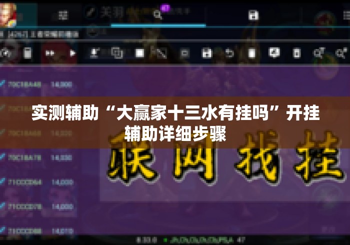 实测辅助“大赢家十三水有挂吗”开挂辅助详细步骤