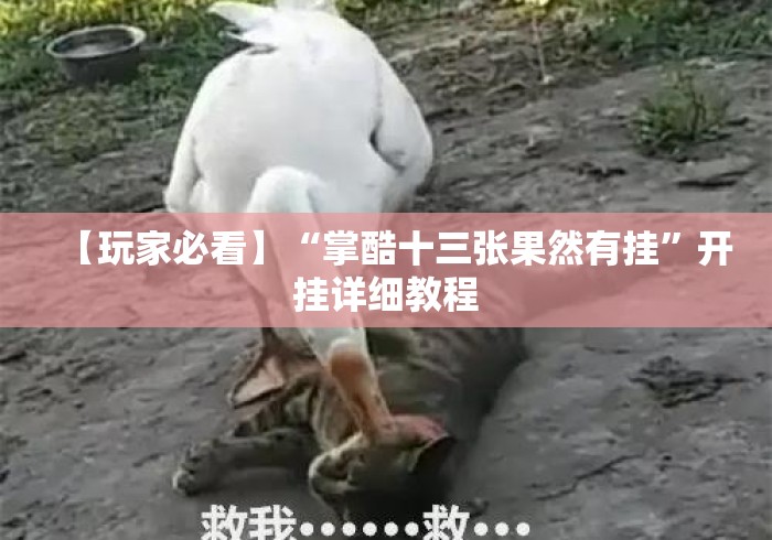 【玩家必看】“掌酷十三张果然有挂”开挂详细教程