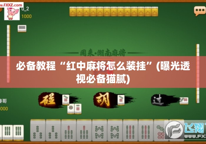 必备教程“红中麻将怎么装挂”(曝光透视必备猫腻)