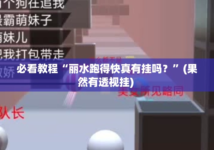 必看教程“丽水跑得快真有挂吗？”(果然有透视挂) 