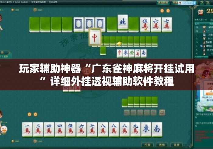 玩家辅助神器“广东雀神麻将开挂试用	”详细外挂透视辅助软件教程