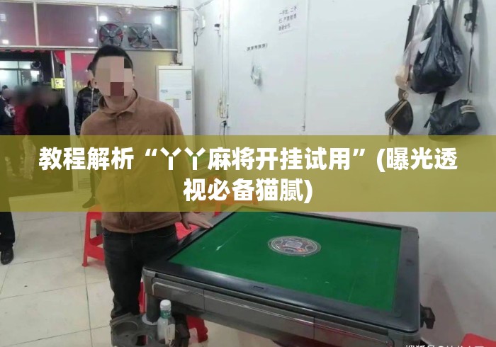 教程解析“丫丫麻将开挂试用”(曝光透视必备猫腻)