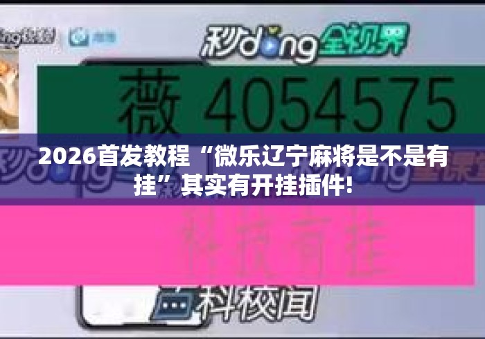 2026首发教程“微乐辽宁麻将是不是有挂”其实有开挂插件!
