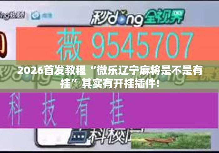 2026首发教程“微乐辽宁麻将是不是有挂	”其实有开挂插件!