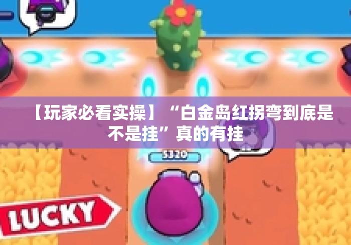【玩家必看实操】“白金岛红拐弯到底是不是挂”真的有挂