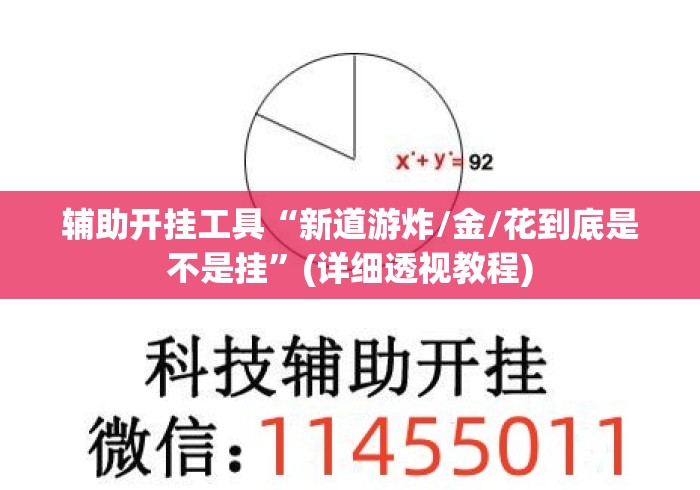 辅助开挂工具“新道游炸/金/花到底是不是挂	”(详细透视教程)
