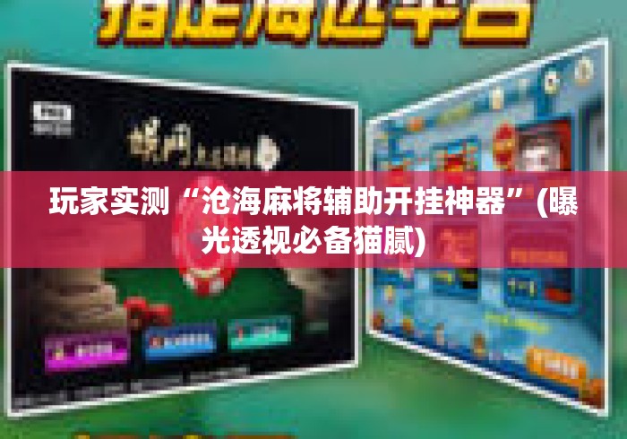 玩家实测“沧海麻将辅助开挂神器”(曝光透视必备猫腻)