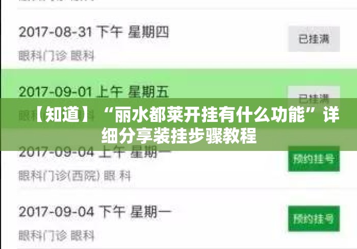 【知道】“丽水都莱开挂有什么功能”详细分享装挂步骤教程