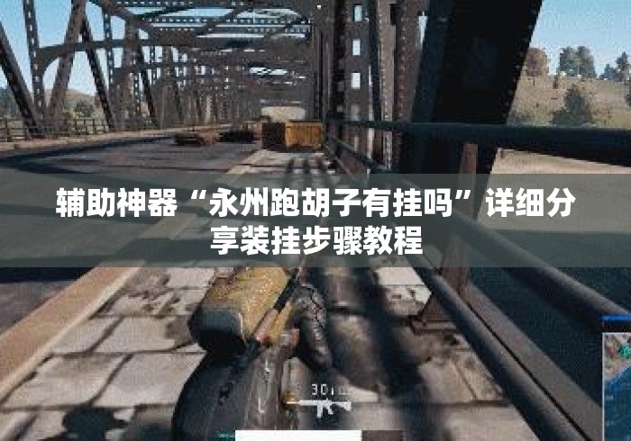 辅助神器“永州跑胡子有挂吗”详细分享装挂步骤教程