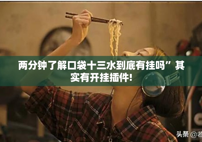 两分钟了解口袋十三水到底有挂吗	”其实有开挂插件!