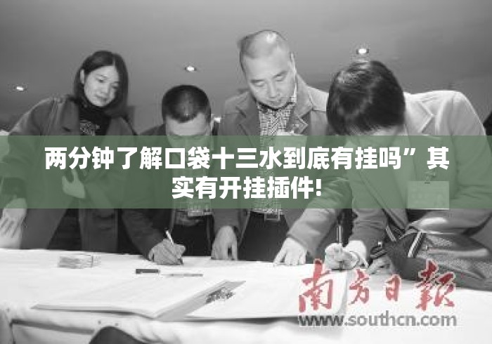 两分钟了解口袋十三水到底有挂吗”其实有开挂插件!
