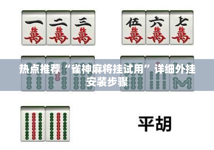 热点推荐“雀神麻将挂试用”详细外挂安装步骤