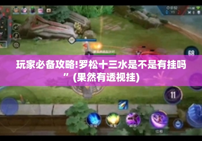 玩家必备攻略!罗松十三水是不是有挂吗”(果然有透视挂)