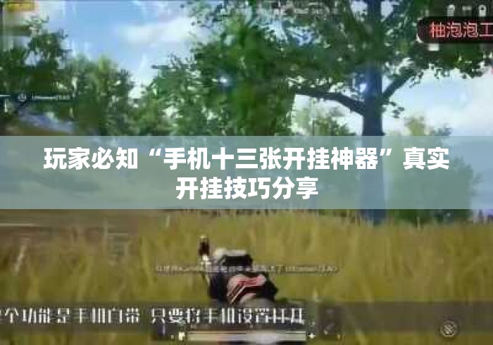 玩家必知“手机十三张开挂神器”真实开挂技巧分享