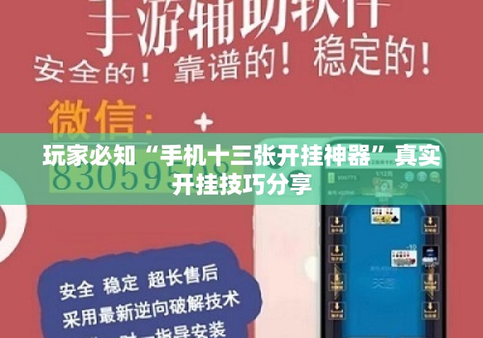 玩家必知“手机十三张开挂神器	”真实开挂技巧分享