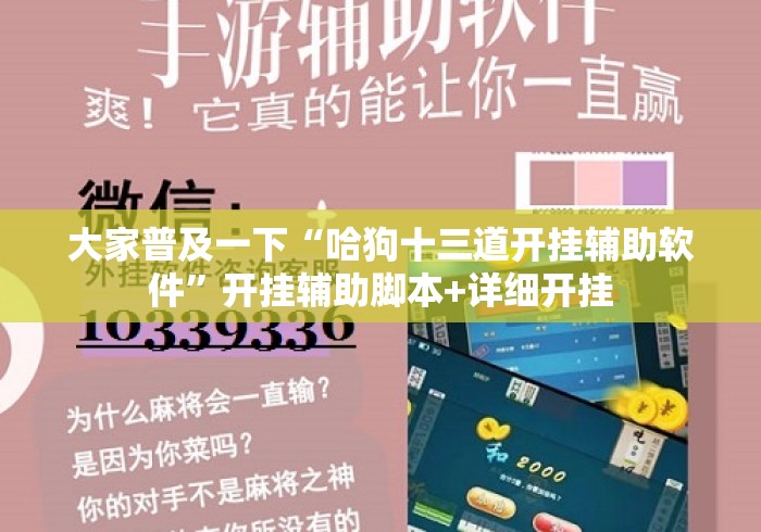 大家普及一下“哈狗十三道开挂辅助软件	”开挂辅助脚本+详细开挂