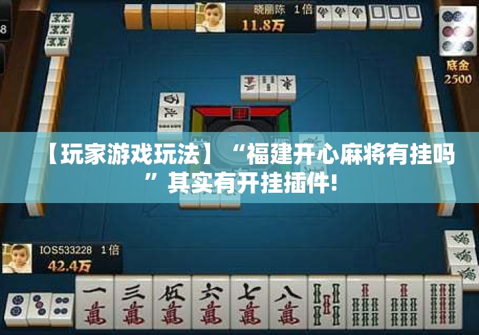 【玩家游戏玩法】“福建开心麻将有挂吗”其实有开挂插件!