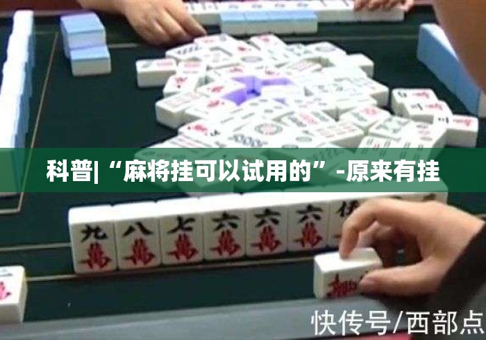 科普|“麻将挂可以试用的”-原来有挂
