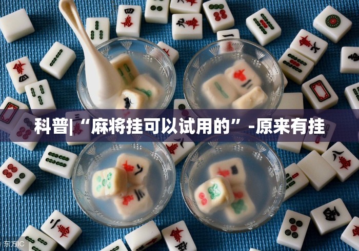 科普|“麻将挂可以试用的”-原来有挂