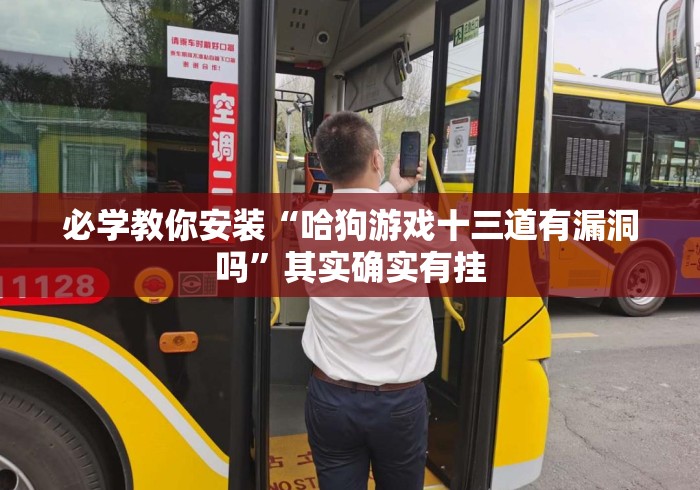 必学教你安装“哈狗游戏十三道有漏洞吗”其实确实有挂