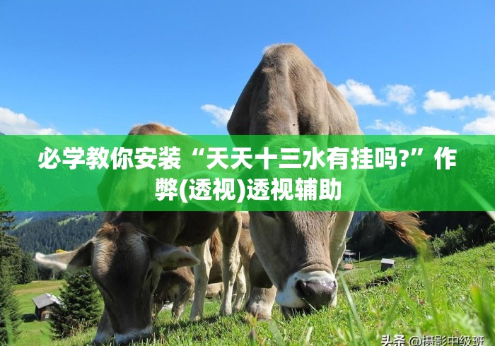 必学教你安装“天天十三水有挂吗?	”作弊(透视)透视辅助