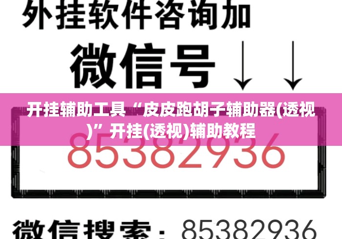 开挂辅助工具“皮皮跑胡子辅助器(透视)	”开挂(透视)辅助教程