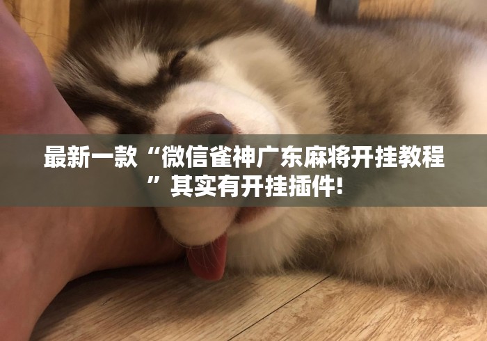 最新一款“微信雀神广东麻将开挂教程	”其实有开挂插件!
